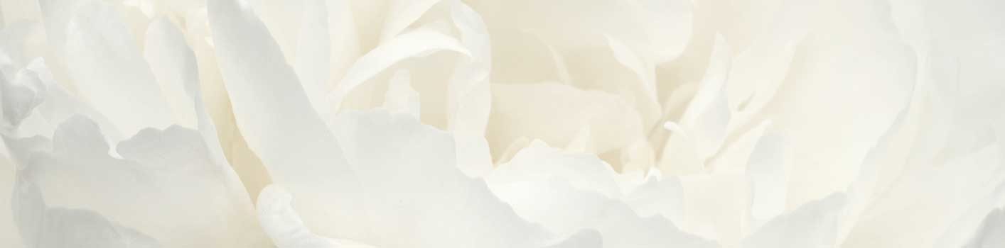 Laser Skin Treatment